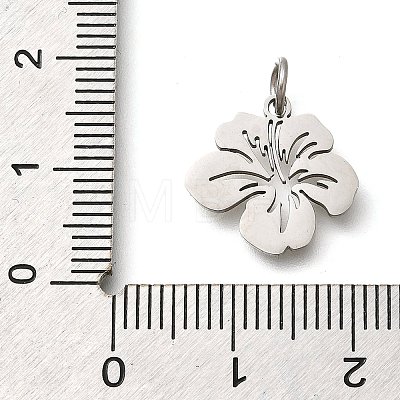 304 Stainless Steel Charms X-STAS-Z119-26P-1