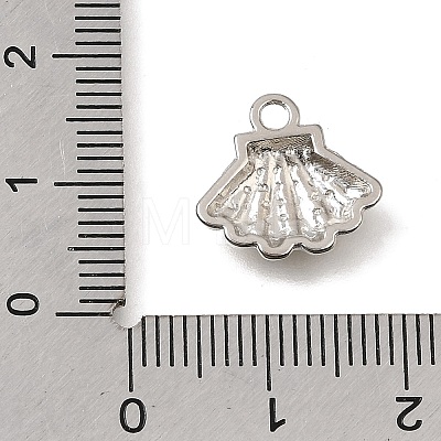 Alloy Charms AL-CBA3B63-30A-P-1