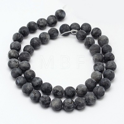 Natural Larvikite Beads Strands X-G-D692-6mm-1