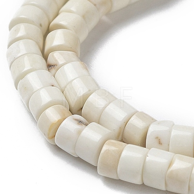 Natural Howlite Beads Strands G-E604-A01-C-1