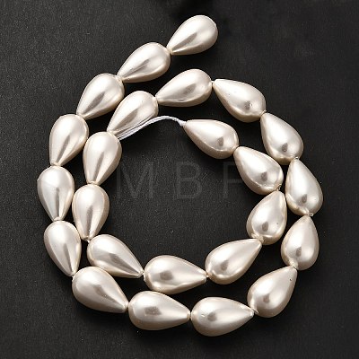 Electroplate Shell Pearl Beads Strands BSHE-G010-10x16mm-01-1