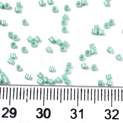 11/0 Grade A Baking Paint Glass Seed Beads SEED-S030-1036-1