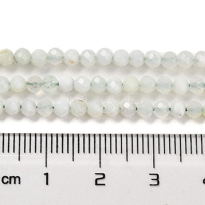 Natural Green Opal Beads Strands G-Z035-A02-02C-1