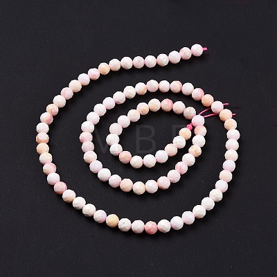Natural Shell Beads SSHEL-G026-01A-1