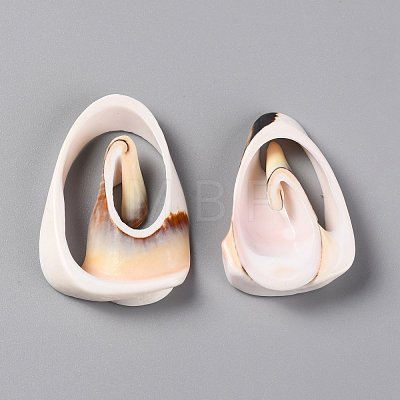 Natural Freshwater Shell Beads SHEL-C001-14-1