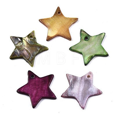 Natural Freshwater Shell Pendants SHEL-R113-16-1