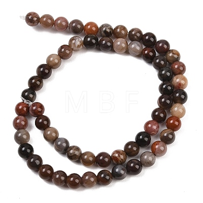 Natural Petrified Wood Round Bead Strands G-F266-08-6mm-1