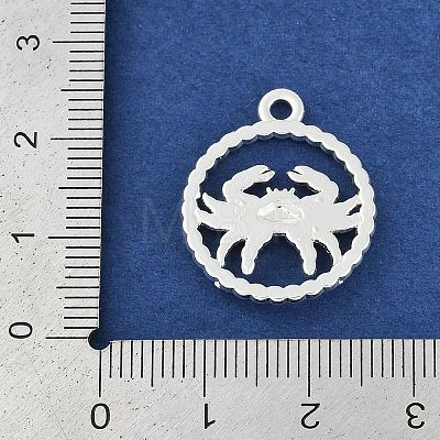 Twelve Constellations Alloy Pendants PALLOY-Q006-01A-S-1