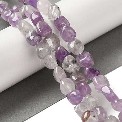 Natural Amethyst Beads Strands G-B078-D12-01-1