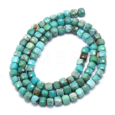 Natural HuBei Turquoise Beads Strands G-G106-G01-01-1