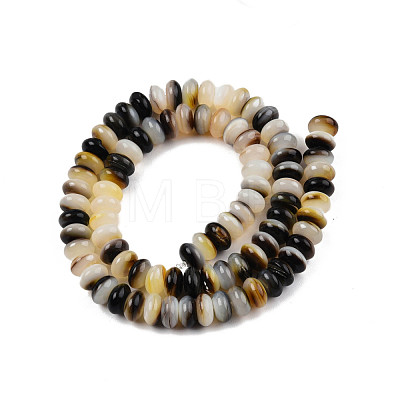 Natural Black Lip Shell Beads Strands SSHEL-N003-150-1