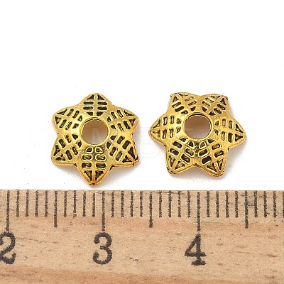 Alloy Spacer Beads TIBE-P003-77AG-1