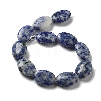 Natural Blue Spot Jasper Beads Strands G-P528-M26-01-1