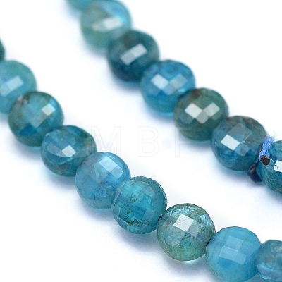 Natural Apatite Beads Strands G-E530-07AK-1