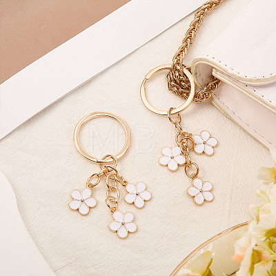 Zinc Alloy Keychain KEYC-WH20004-10A-1
