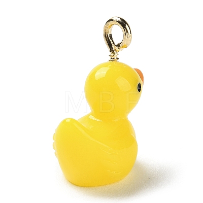 Opaque Resin Cartoon Pendants CRES-Z004-01A-G-1