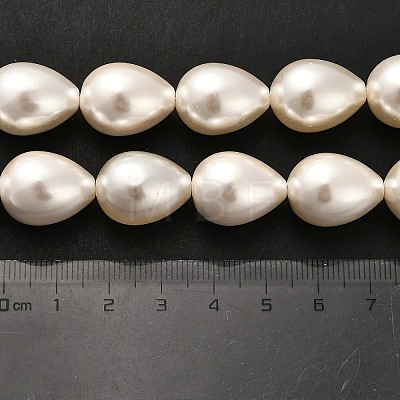 Electroplate Shell Pearl Beads Strands BSHE-G010-14x18mm-01-1