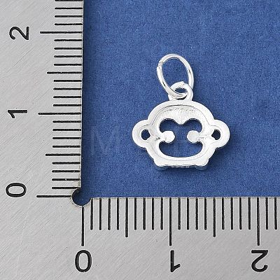 925 Sterling Silver Chinese Zodiac Outline Charms STER-P066-02S-09-1