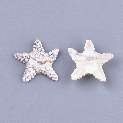 Resin Cabochons RESI-T033-02-1