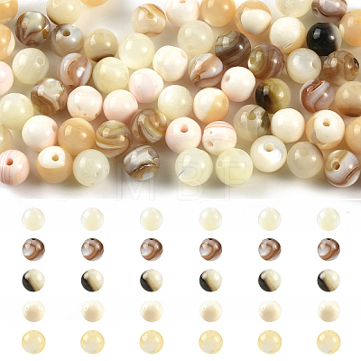 100Pcs 5 Styles Natural White Shell & Trochid Shell & Freshwater Shell Beads SSHEL-YW0001-17-1