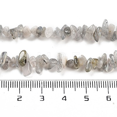 Natural Labradorite Beads Strands G-G0003-B43-1