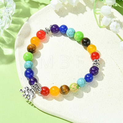 Chakra Natural & Synthetic Mixed Stone Stretch Bracelets BJEW-JB09859-03-1