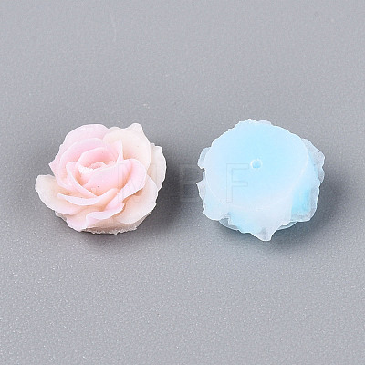 Opaque Resin Beads RESI-N052-01-1