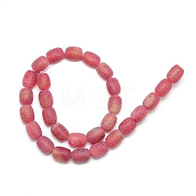 Natural Weathered Agate Beads Strands G-S229-02A-1