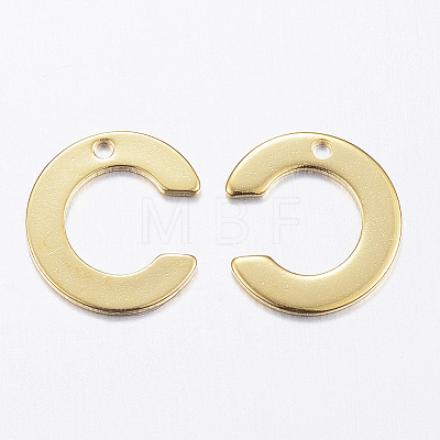 304 Stainless Steel Charms LS-X-STAS-P141-C-1