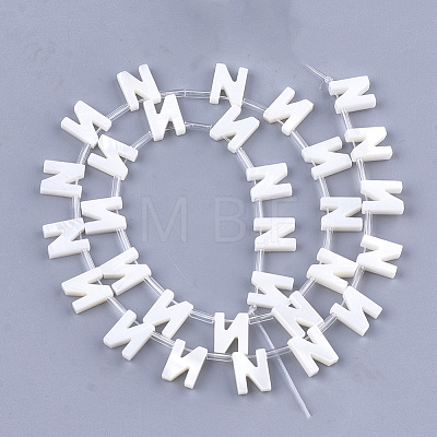 Natural Freshwater Shell Beads SHEL-T012-59N-1