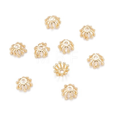 Brass Multi-Petal Bead Caps X-KK-K251-06G-1