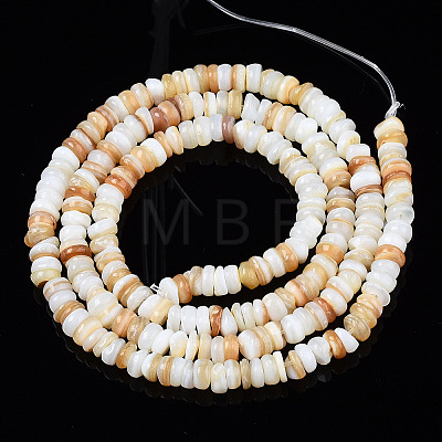 Natural Freshwater Shell Beads Strands X-SHEL-S278-067G-1