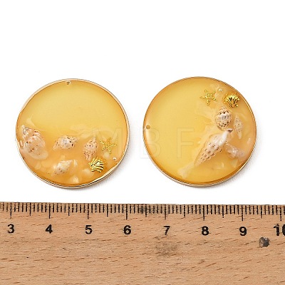 Brass & Resin Pendants KK-H276-01KCG-02-1