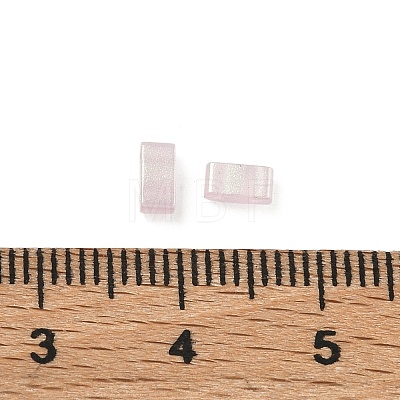 Glass 2-Hole Baking Paint Glass Seed Beads GLAA-G130-01A-1