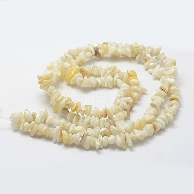 Natural Shell Beads Strands G-F328-45-1