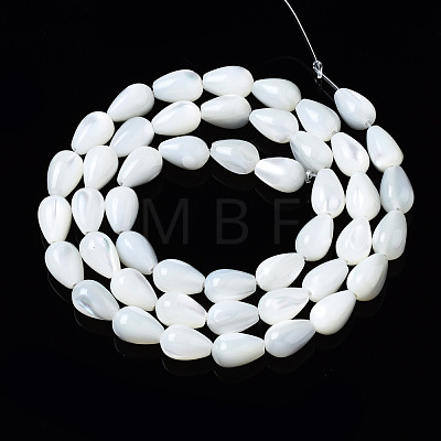 Natural Trochid Shell/Trochus Shell Beads Strands SSHEL-S266-022-1