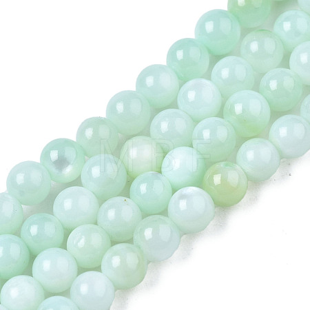 Natural Freshwater Shell Beads Strands BSHE-T009A-01D-1