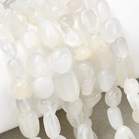 Natural White Moonstone Beads Strands G-P601-A18-02-1