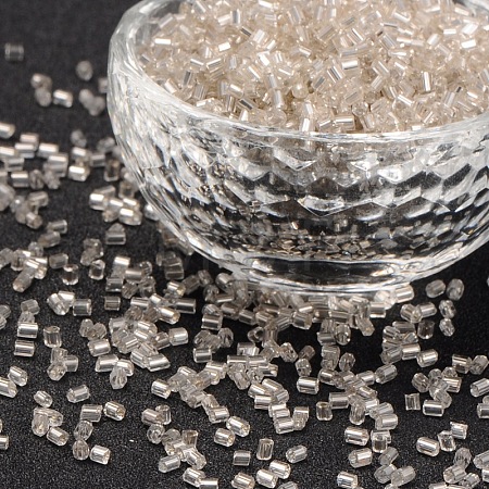Two Cut Glass Seed Beads CSDB21-1