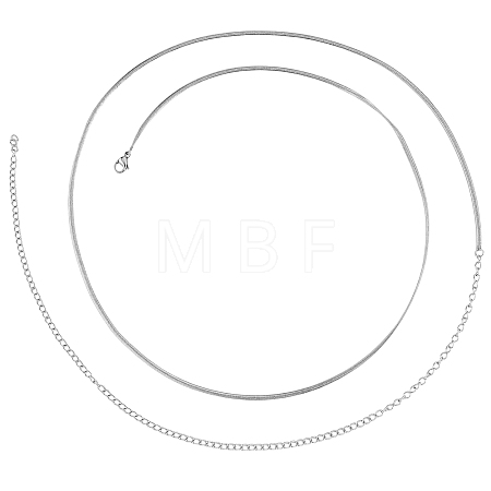Simple Long Chain Necklace Stainless Steel Sweater Necklace Adjustable Chain Necklace Bold Snake Chain Necklace Trendy Statement Necklace Neck Jewelry for Women JN1102A-1