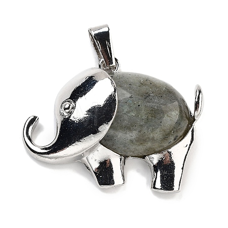 Natural Labradorite Pendants G-G112-01P-06-1