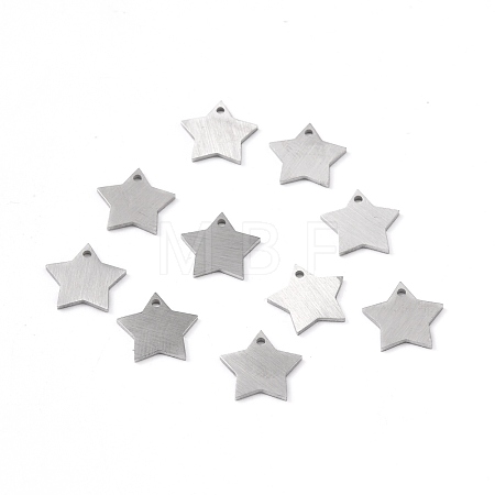 Tarnish Resistant 304 Stainless Steel Pendants STAS-F271-04A-P-1
