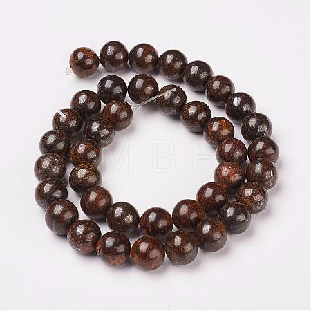 Natural Bronzite Beads Strands G-D169-01-10mm-1
