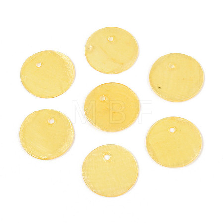Spray Painted Natural Capiz Shell Disc Charms BSHE-T014-02G-1