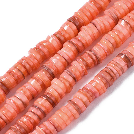 Natural Freshwater Shell Beads Strands SHEL-S278-025H-1