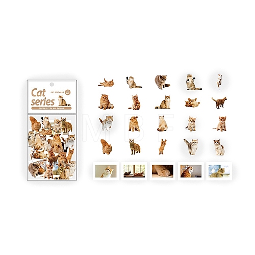 Cat PET Sticker PW-WG56820-03-1