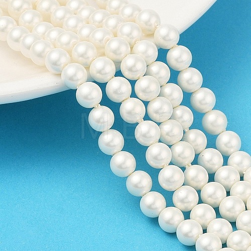 Round Shell Pearl Beads Strands BSHE-XCP0001-40B-1