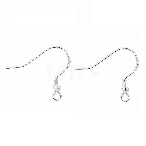 925 Sterling Silver Earring Hooks STER-K167-050S-1