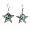 Paua Shell and 304 Stainless Steel Dangle Earrings EJEW-JE07471-03-3
