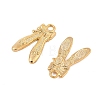 Brass Pendants KK-L223-024G-2